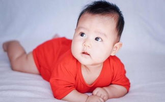 �Ϻ�����ͼƬ4